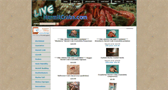 Desktop Screenshot of livehermitcrabs.com